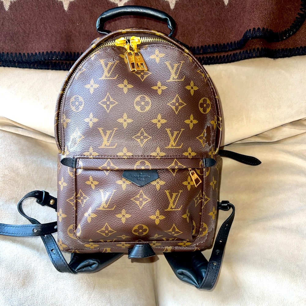 Louis Vuitton PM Palm Springs back back.